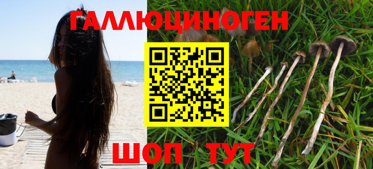закладка  Вход с VPN  Крымск  Галлюциногенные грибы мицелий 